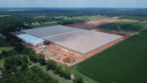 Pure Flavor Adds to Greenhouse Portfolio With Cervini Farms Acquisition