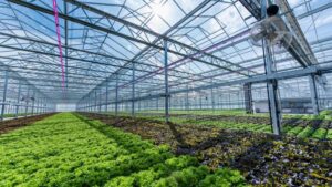 USDA Funding for Free Greenhouse Energy and Water-use Benchmarking Expires Soon
