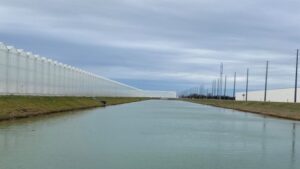 Trump Administration and Floriculture: Small Businesses Feeling Tariff Impacts