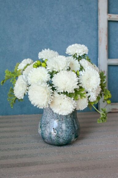 Aster Azumi XL White (Sakata Ornamentals)