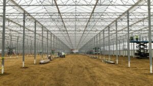 BrightFarms Planning for Major Expansion in the Coming Year