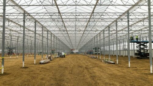 BrightFarms Planning for Major Expansion in the Coming Year