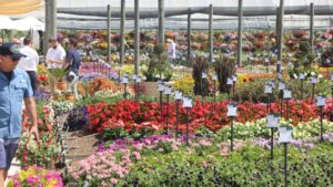 State of the Industry Survey Closes This Week