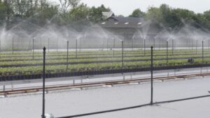 Webinar to Offer Tips on Developing a Water Management Plan