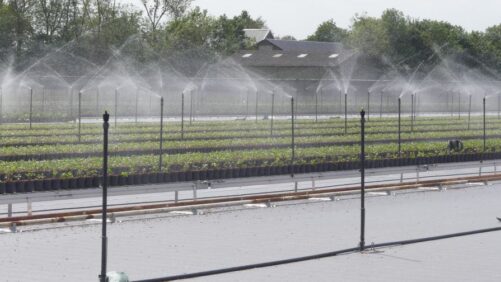 Webinar to Offer Tips on Developing a Water Management Plan