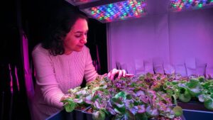 How New LED Strategies Could Make Indoor Farming More Productive and Less Costly