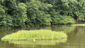 Water Quality Implications for Indoor Growing