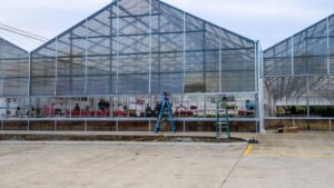 How Spring Greenhouse Maintenance Can Help You Maximize Profits