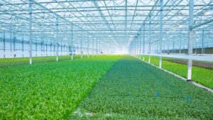 Two Industry Leaders Partner to Create Credentialing Curriculum for CEA Professionals