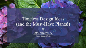 Timeless Garden Design Trends and Plants From Monrovia