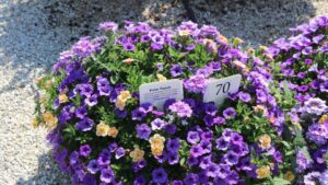 In Case You Missed Them: The Top Stories on GreenhouseGrower.com in April