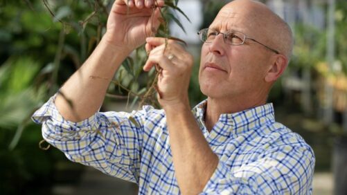 OHP Named a Master Distributor of Certis Biologicals Products