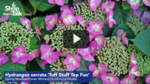 Video of the Week: Spring Meadow Planning for a Range of New Intros in 2023