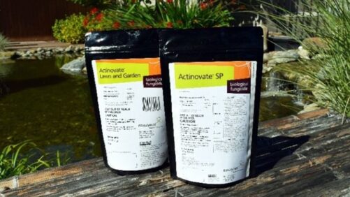 Two Greenhouse Biofungicides Receive Label Enhancements to Improve User Experience