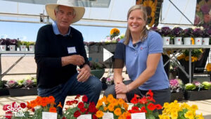 Nasturtiums Are Back in Focus at American Takii (Video)