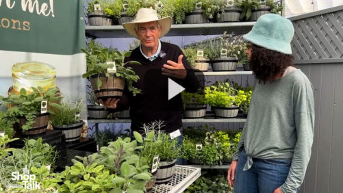 Video of the Week: Season Me! Fusions Herbs From Benary at CAST 2023