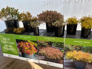 Fast Finish Shrub Program (PlantHaven)