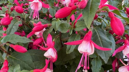 Spring Trials May Be Over, But There’s Still a Lot More to See