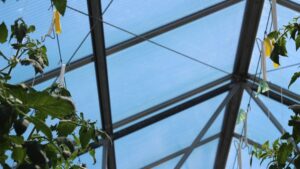 Six Greenhouse HVAC Trends to Watch in 2023