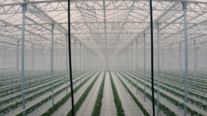 Mucci, Prospiant Featured in Documentary on Food Security