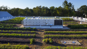 Why Rooftops May Be the Next Big Thing in Controlled Environment Agriculture
