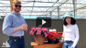 Sunpatiens and Supercal Updates From Sakata Ornamentals (Video)