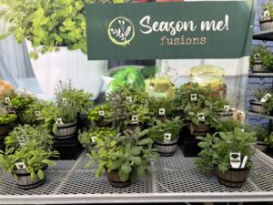 Season Me Herb Fusions (Benary)