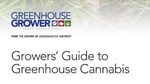 A Growers’ Guide to Greenhouse Cannabis in 2023