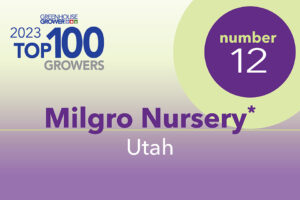 #12: Milgro Nursery, UT