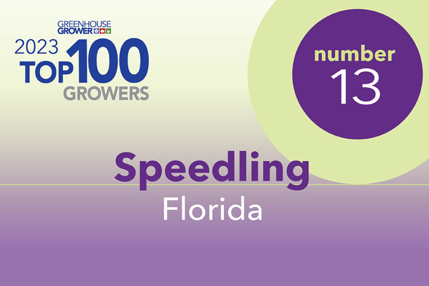 #13: Speedling, FL