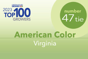 #47t: American Color, VA