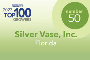#50: Silver Vase, FL 