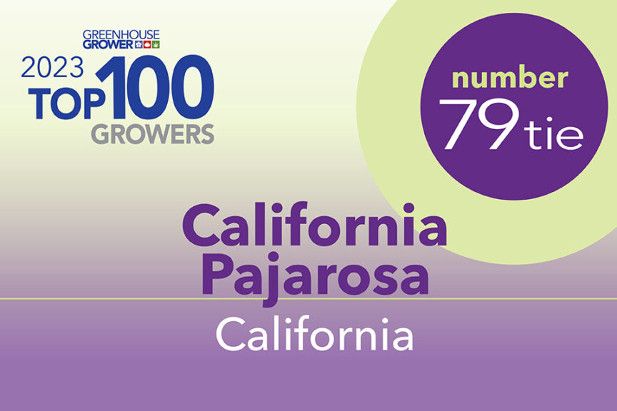 #79t: California Pajarosa, CA