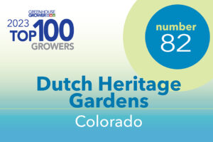 #82: Dutch Heritage Gardens, CO