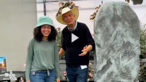 California Spring Trials 2023: Stonehedge Begonias at Benary (Video)