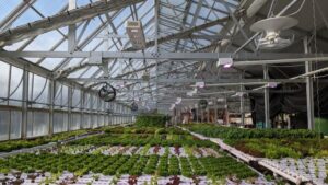 Indoor Farming Technology Market to be Worth $32.8 Billion by 2028