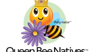 10 Consumer Trends Driving the Perennials Market