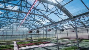 Understanding the Key Metrics for Efficient and Productive Lighting Systems