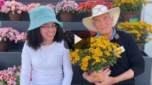 New Bidens Introductions From Danziger (Video)