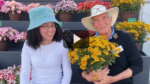 New Bidens Introductions From Danziger (Video)