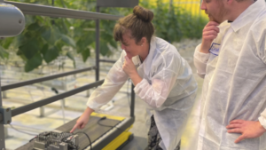 Need a Strategy to Recruit and Train Greenhouse Scouts? Follow This Advice