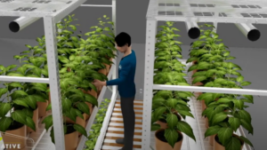 Hydrofarm, CEA Advisors Form Alliance to Meet Demand for CEA Equipment