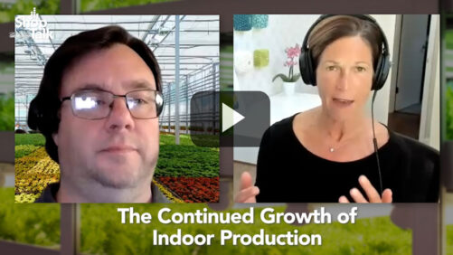 Perfecting Crop Genetics for Indoor Vegetable Growing (Video)