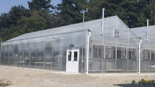 Think Long Term When Considering a New Greenhouse Build Versus a Renovation