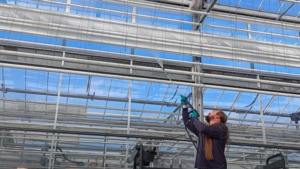 Cleaning Out Your Greenhouse Today Can Save You Headaches Tomorrow