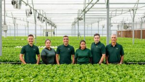 Teamwork Is Core Value at Naples Fresh