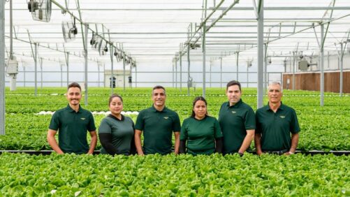 Teamwork Is Core Value at Naples Fresh