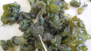 Got Slimy Weeds in Your Greenhouse? They May Be Nostoc