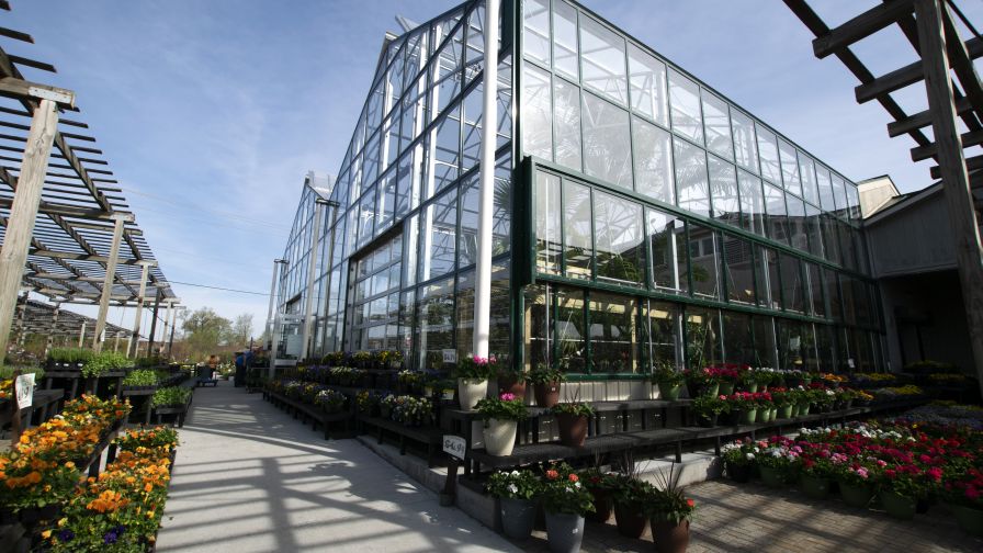 7 Steps to Energy Savings When Upgrading Your Greenhouse