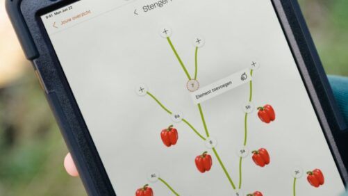 Source.ag Plant App Now Supports Greenhouse Peppers and Cucumbers